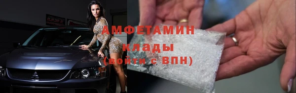 прущие грибы Мегион