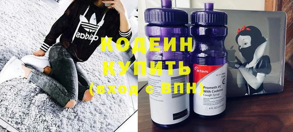 прущие грибы Мегион