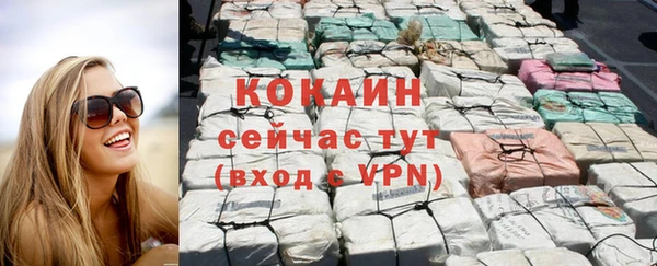 прущие грибы Мегион