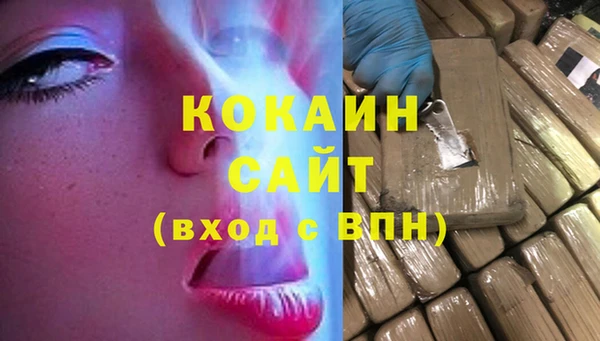 прущие грибы Мегион