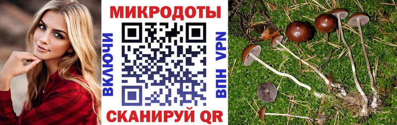 Галлюциногенные грибы Cubensis  omg вход  Новосиль 