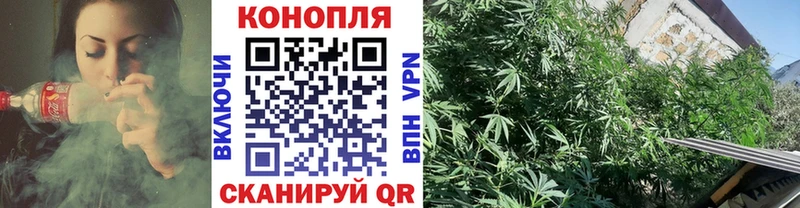 Канабис SATIVA & INDICA  блэк спрут зеркало  Новосиль 